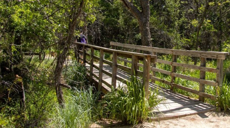 Abilene State Park, Texas, USA